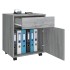 Armario ruedas madera contrachapada gris Sonoma 45x38x54