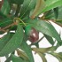 Árbol de laurel artificial con macetero verde 120