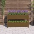 Jardinera de madera maciza de pino marrón miel 112x25x66
