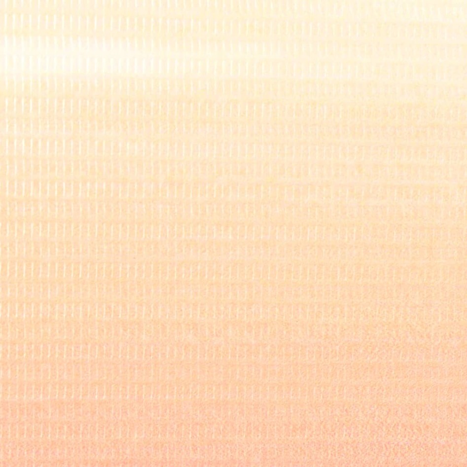 Biombo divisor plegable 120x170 cm París de