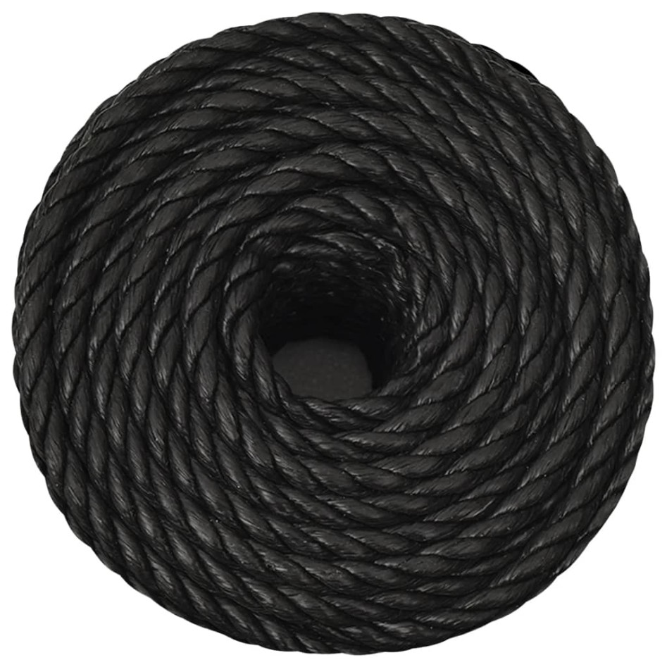 Cuerda de trabajo polipropileno negro 10 mm 250