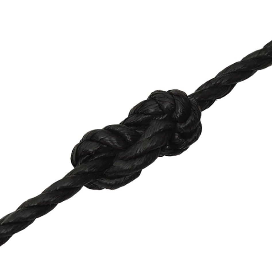 Cuerda de trabajo polipropileno negro 10 mm 250