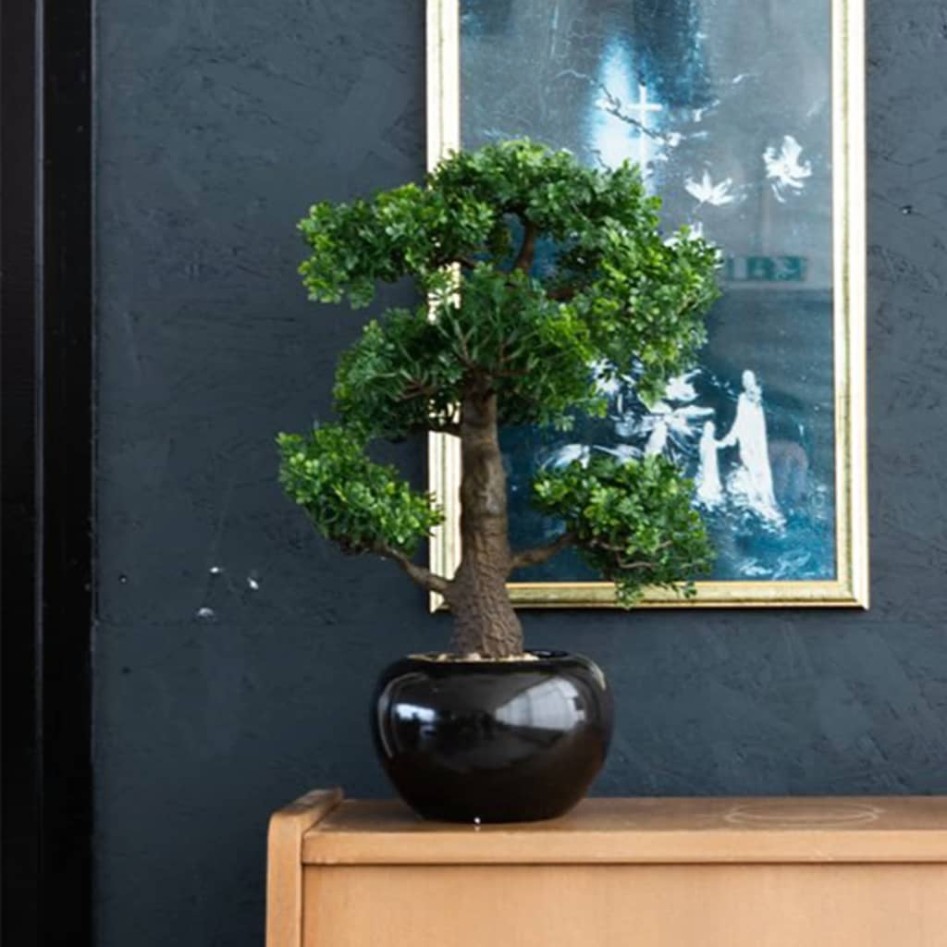 Emerald Mini bonsai artificial Ficus verde 47 cm