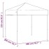 Carpa para fiestas plegable azul 2x2