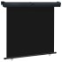 Toldo lateral de balcón negro 165x250
