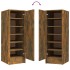 Mueble zapatero madera contrachapada roble ahumado 32x35x92