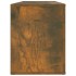 Mueble zapatero madera contrachapada roble ahumado 100x35x45