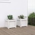 Jardineras de exterior 2 unidades madera maciza de pino