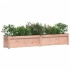 Jardinera de madera maciza Douglas 180x31x31