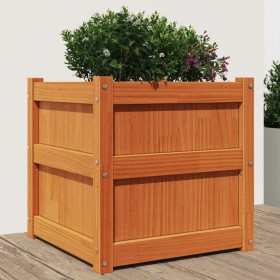 Jardinera exterior madera maciza pino marrón cera 50x50x50