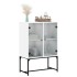 Armario auxiliar con puertas de vidrio blanco 69x37x100
