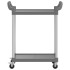 Carrito de 2 niveles aluminio gris 81x41x92