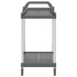 Carrito de 2 niveles aluminio gris 99x50x97