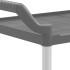 Carrito de 2 niveles aluminio gris 99x50x97