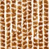 Cortina antimoscas chenilla ocre y blanco 90x200