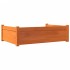 Cama para perros madera maciza pino marrón cera 95,5x65,5x28