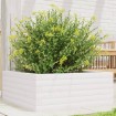 Jardinera de madera maciza de pino blanca 60x60x23 cm