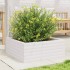 Jardinera de madera maciza de pino blanca 60x60x23