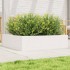 Jardinera de madera maciza de pino blanca 90x90x23