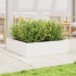 Jardinera de madera maciza de pino blanca 90x90x23