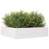 Jardinera de madera maciza de pino blanca 90x90x23