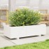 Jardinera de madera maciza de pino blanco 90x40x26,5