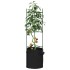 Tutores para tomates con bolsa 6 uds de acero y PP 116