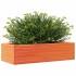 Jardinera de madera maciza pino marrón cera 90x40x23