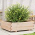 Jardinera de madera maciza de pino 80x80x26,5