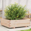 Jardinera de madera maciza de pino 80x80x26,5 cm