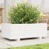 Jardinera de madera maciza de pino blanco 70x40x26,5