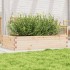Jardinera de madera maciza de pino 110x60x23