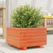 Jardinera madera maciza de pino marrón cera 40x40x26,5 cm