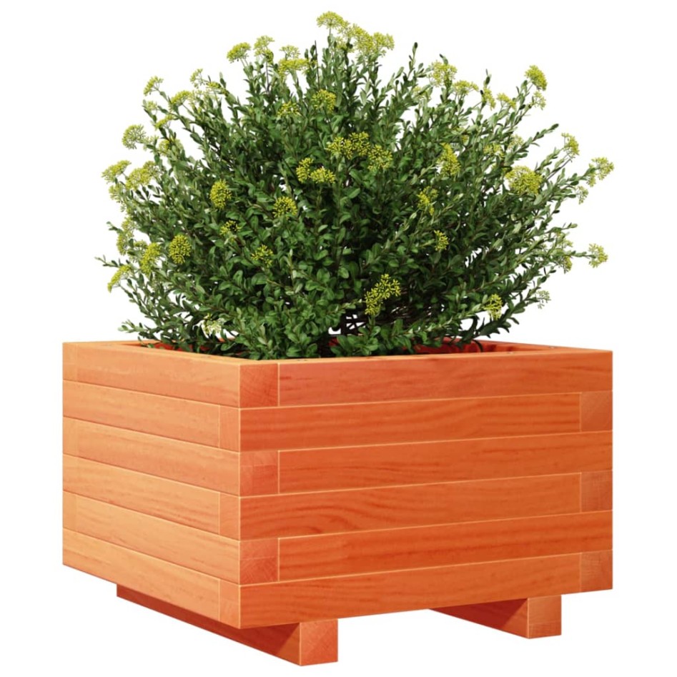 Jardinera madera maciza de pino marrón cera 40x40x26,5