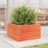 Jardinera de madera maciza de pino marrón cera 40x40x23