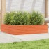 Jardinera de madera maciza de pino marrón cera 100x100x23