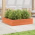 Jardinera de madera maciza de pino marrón cera 100x100x23