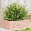 Jardinera madera maciza de abeto Douglas 70x70x23 cm