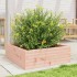 Jardinera madera maciza de abeto Douglas 70x70x23