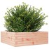 Jardinera madera maciza de abeto Douglas 70x70x23