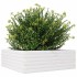 Jardinera de madera maciza de pino blanca 70x70x23