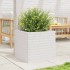 Jardinera madera maciza de pino blanco 50x50x45,5