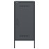 Aparador acero gris antracita 36x39x79