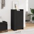 Mueble zapatero madera de ingeniería negro 52x37,5x100