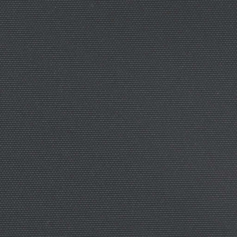 Toldo lateral retráctil negro 100x500