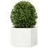 Jardinera hexagonal acero blanco 69x60x45