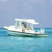 Toldo T-Top extensión blanco 170x170x(115-183) cm