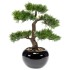 Emerald Bonsai cedro artificial verde 34 cm