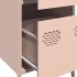 Aparador de acero laminado en frío rosa 35x39x73,5