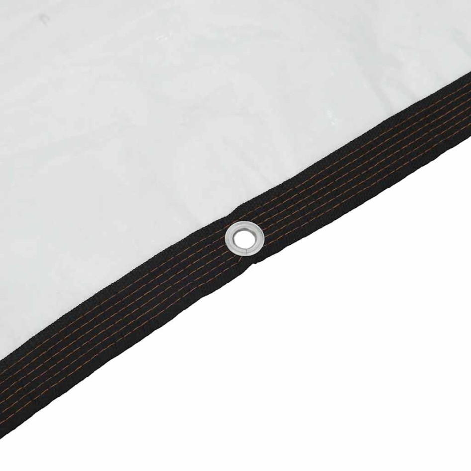 Lona transparente con ojales polietileno 4x10